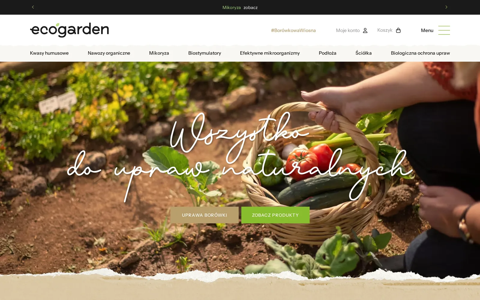 Strona główna Ecogarden na komputerze: pasek ośmiu kategorii pod logo, zdjęcie koszyka z warzywami w ogrodzie z napisem „Wszystko do upraw naturalnych” i przyciski „Uprawa borówki” oraz „Zobacz produkty”