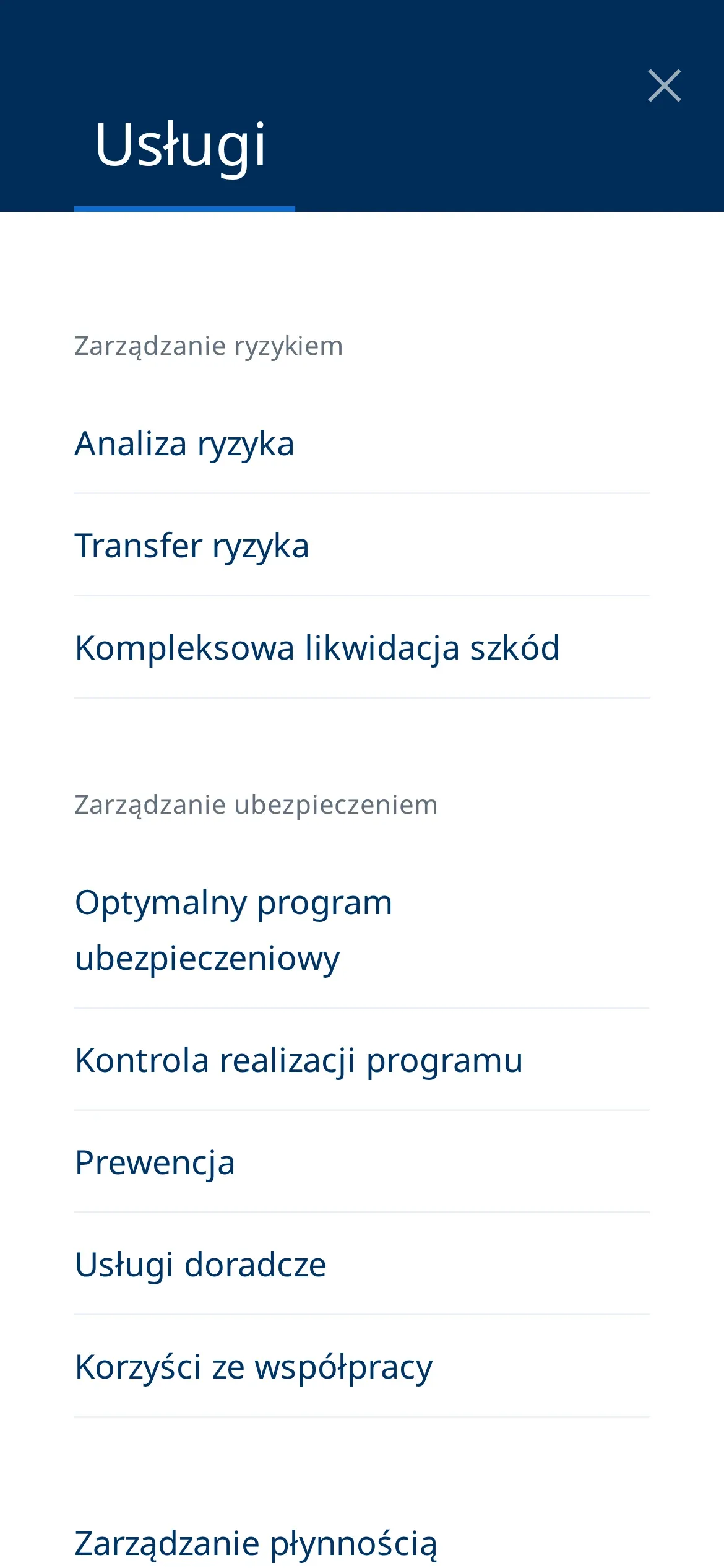 Menu na telefonie, panel „Usługi”: grupy „Zarządzanie ryzykiem” i „Zarządzanie ubezpieczeniem” z listą podstron, od analizy ryzyka po korzyści ze współpracy