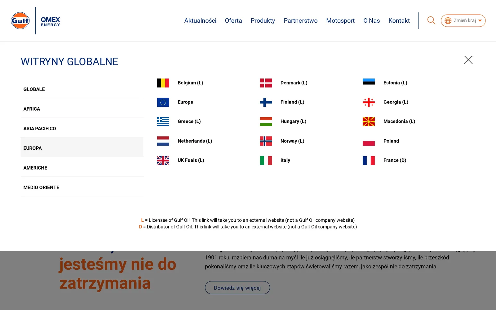 Otwarty panel „Witryny globalne”: zakładki regionów z wybraną Europą, flagi i nazwy krajów, m.in. Belgia, Dania, Polska, Włochy i Francja, oraz objaśnienie oznaczeń L i D